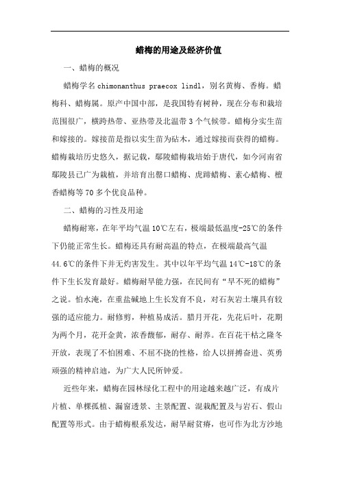 蜡梅的用途及经济价值
