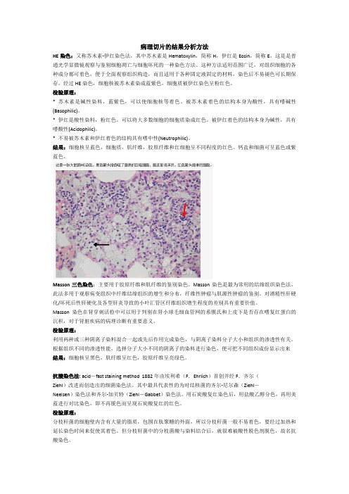 病理切片的结果分析方法