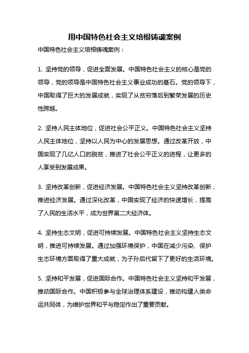 用中国特色社会主义培根铸魂案例