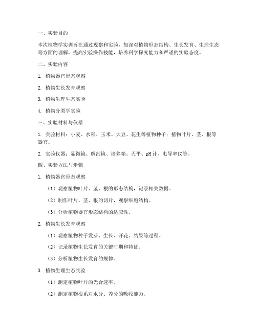 植物学实训报告实验结果