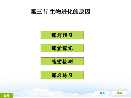 最新部编人教版八年级生物下册第三节《生物进化的原因》精品ppt课件