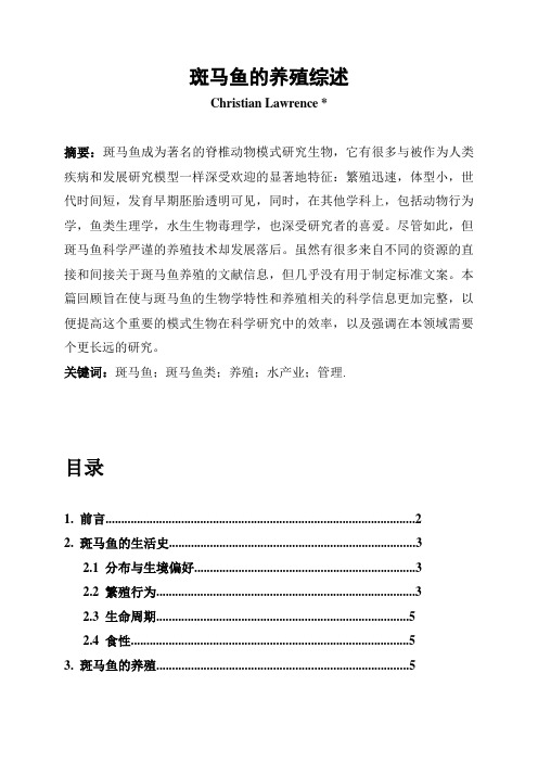 回顾：斑马鱼的养殖