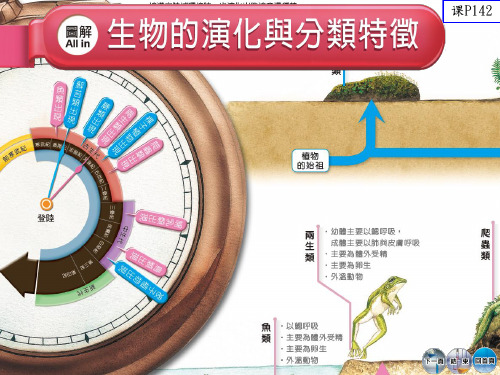 课本-图解(生物的演化与分类特征)