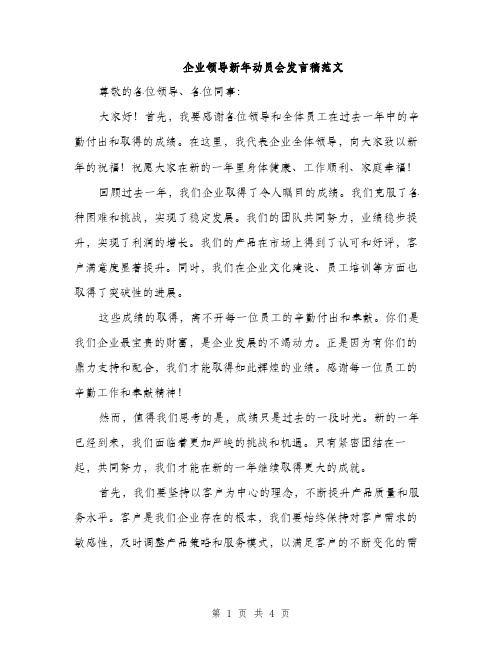 企业领导新年动员会发言稿范文(二篇)