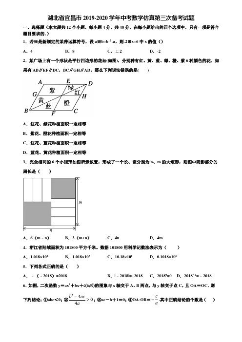 湖北省宜昌市2019-2020学年中考数学仿真第三次备考试题含解析