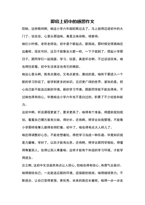 即将上初中的感想作文