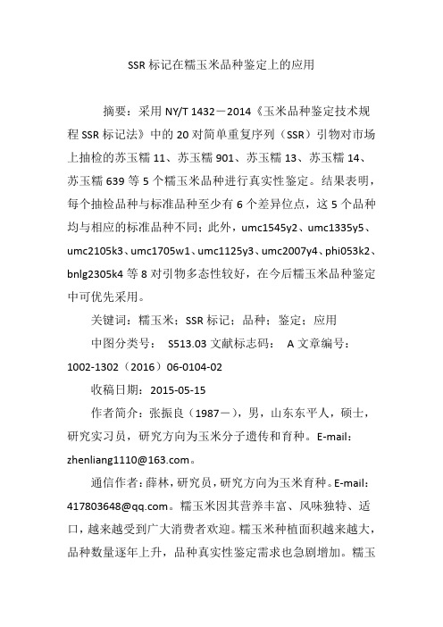 SSR标记在糯玉米品种鉴定上的应用