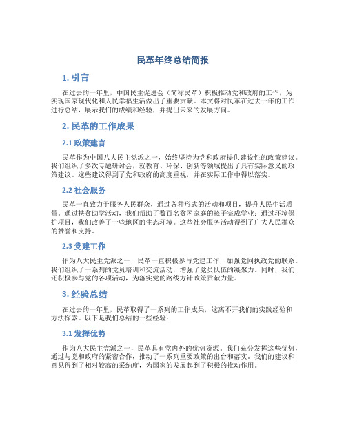 民革年终总结简报