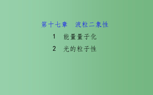 高中物理 17.1-17.2能量量子化 光的粒子性(精讲优练课型) 新人教版选修3-5