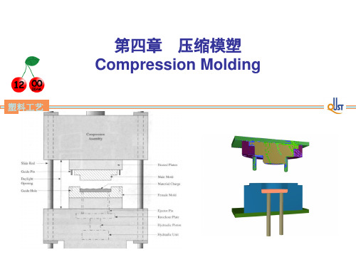 第四章 压缩模塑