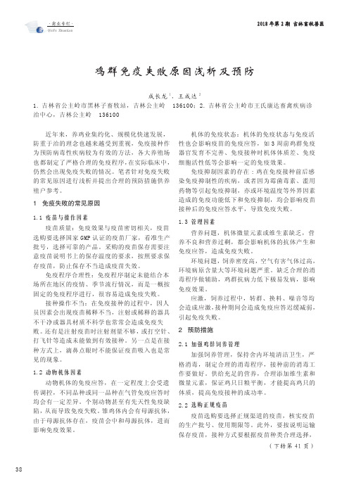 鸡群免疫失败原因浅析及预防