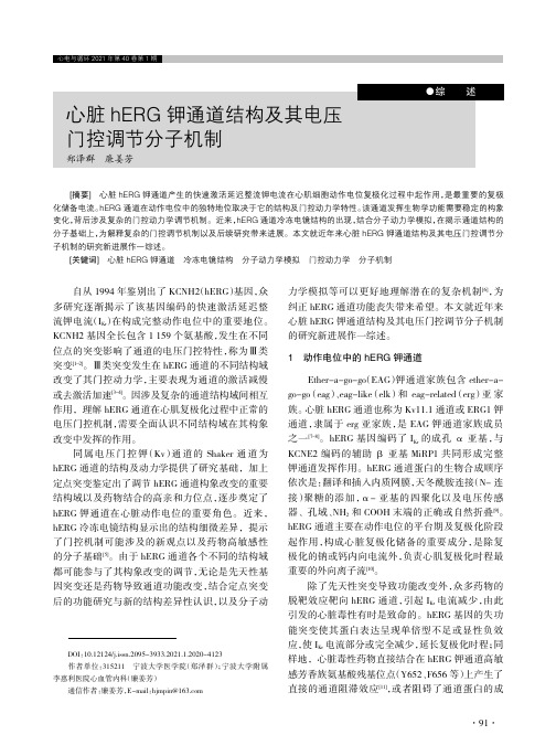 心脏hERG钾通道结构及其电压门控调节分子机制