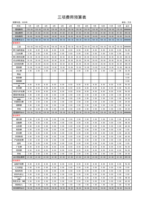 三项费用预算表