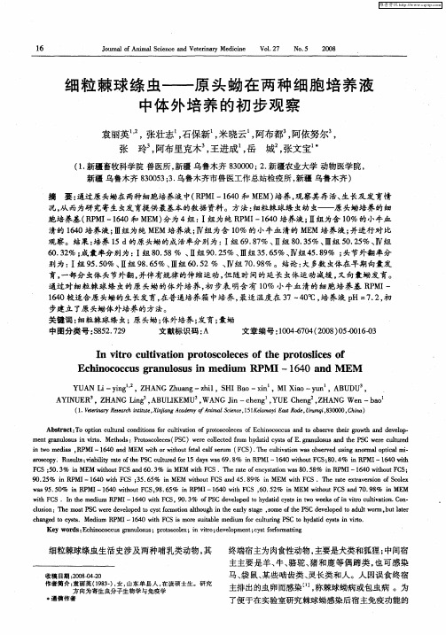 细粒棘球绦虫——原头蚴在两种细胞培养液中体外培养的初步观察