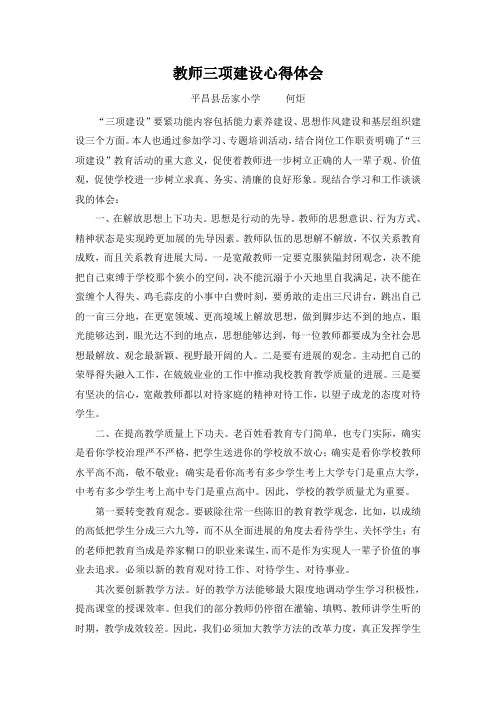 教师三项建设心得体会