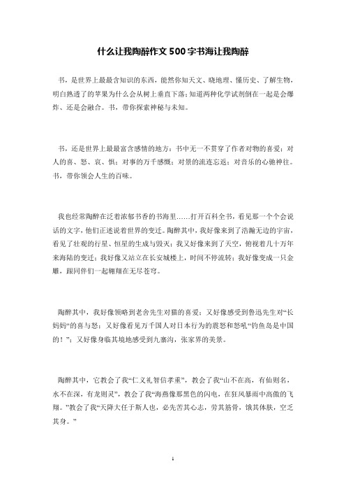 什么让我陶醉作文500字书海让我陶醉