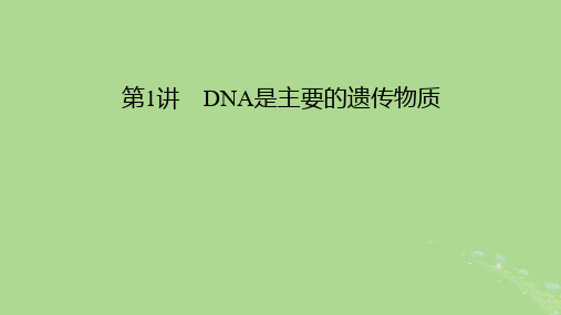 2025版高考生物一轮总复习必修2第6单元遗传的分子基础第1讲DNA是主要的遗传物质课件