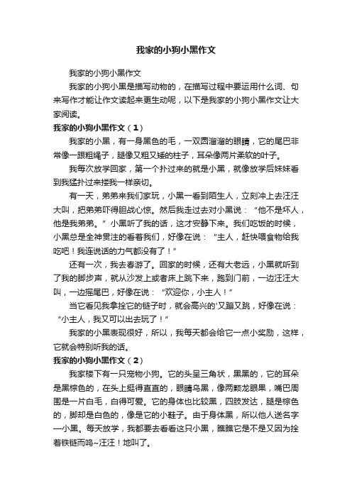 我家的小狗小黑作文