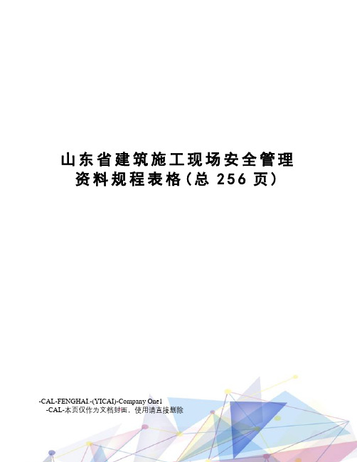 山东省建筑施工现场安全管理资料规程表格