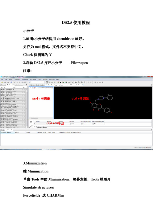 DS使用教程