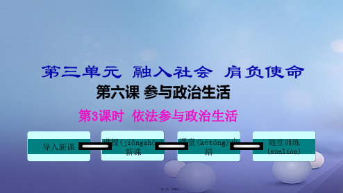 九年级政治全册第三单元融入社会肩负使命第六课参与政治生活第3框依法参与政治生活课件新人教版