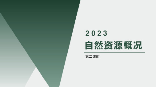 3.1自然资源概况(第二课时)课件地理八年级上册