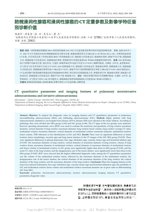 肺微浸润性腺癌和浸润性腺癌的CT定量参数及影像学特征鉴别诊断价值