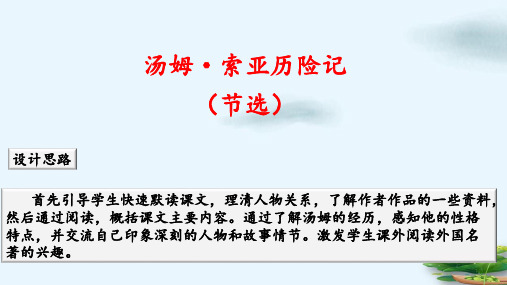 六年级下册汤姆索亚历险记节选人教部编版PPT