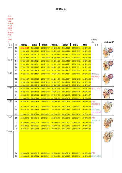 怀孕日历
