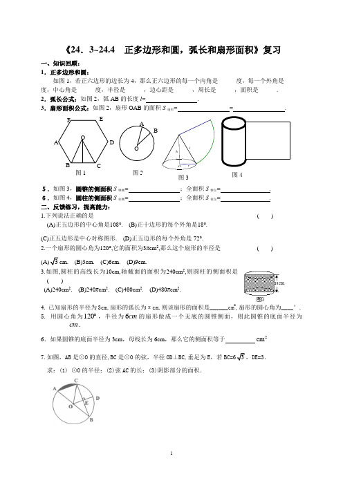 正多边形和圆练习题(复习)