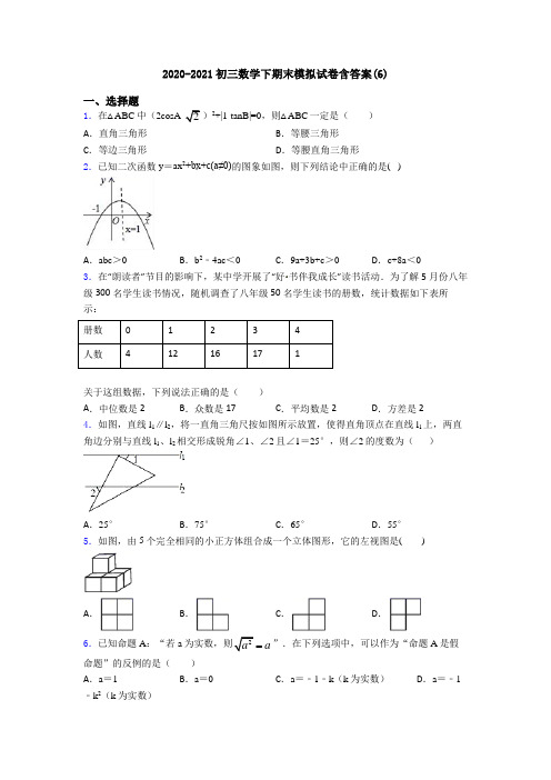 2020-2021初三数学下期末模拟试卷含答案(6)