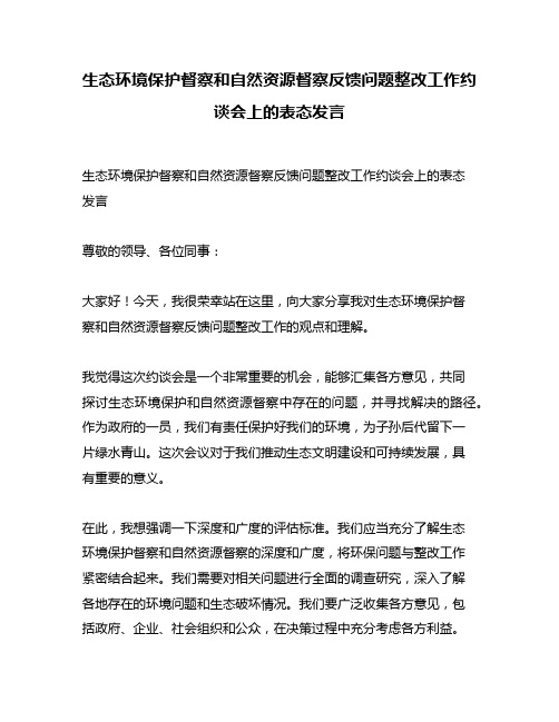 生态环境保护督察和自然资源督察反馈问题整改工作约谈会上的表态发言