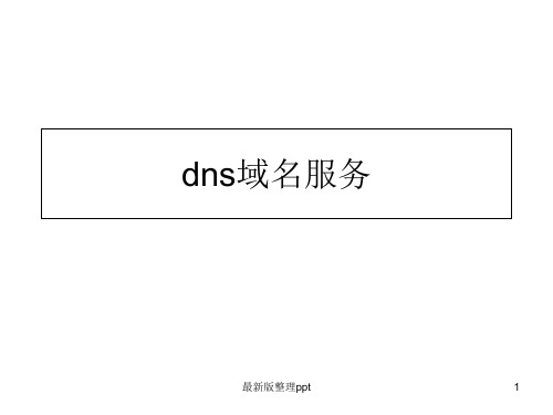 DNS服务器ppt课件