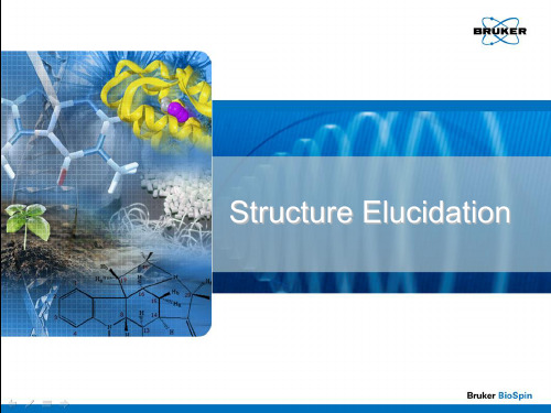 布鲁克核磁structure_elucidation