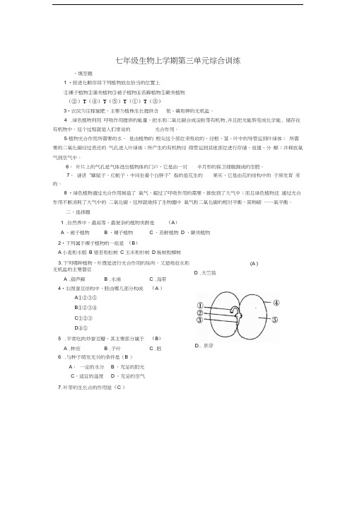 七年级生物上学期第三单元综合训练