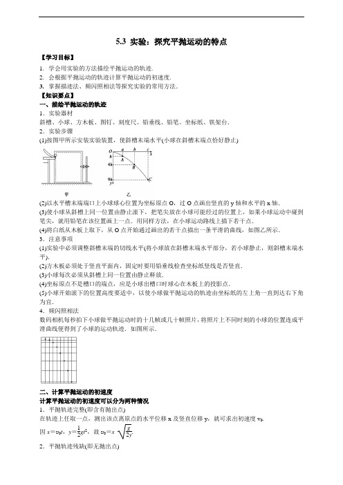 5.3实验：探究平抛运动的特点(解析版)