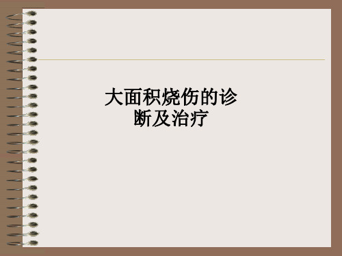 大面积烧伤的诊断及治疗PPT课件