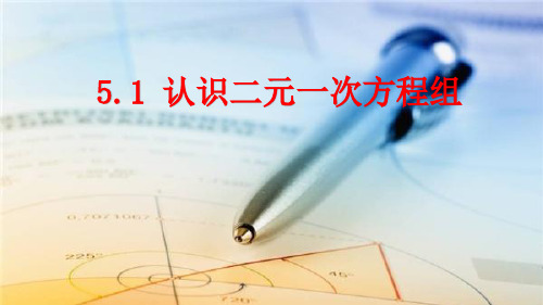北师大版数学八年级上册5.1 认识二元一次方程组 课件(共38张PPT)