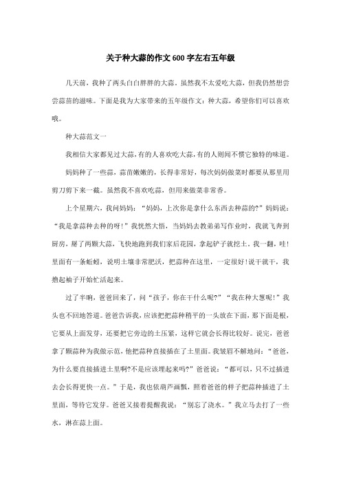 关于种大蒜的作文600字左右五年级