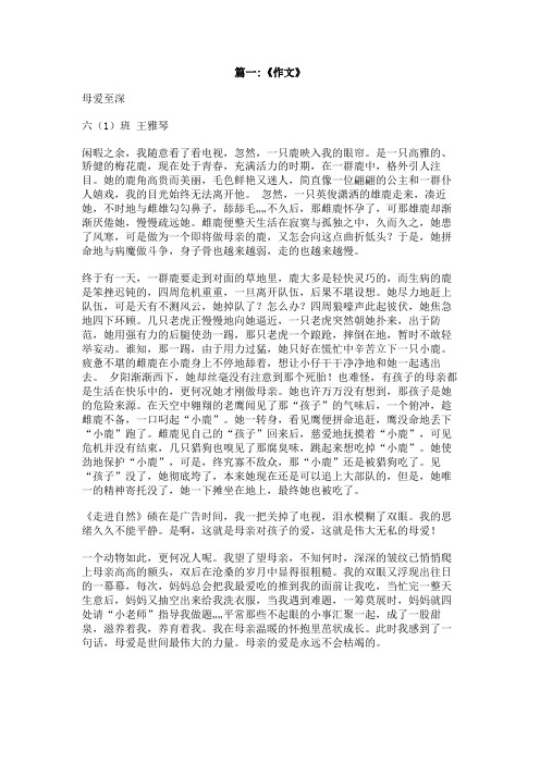 作文情满人间300字