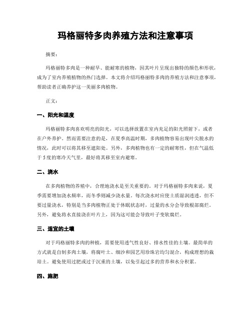 玛格丽特多肉养殖方法和注意事项