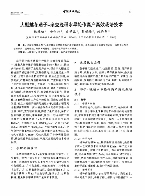 大棚越冬茄子-杂交晚稻水旱轮作高产高效栽培技术