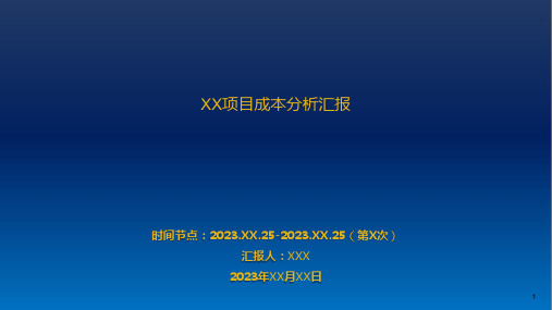 XX项目成本分析汇报ppt