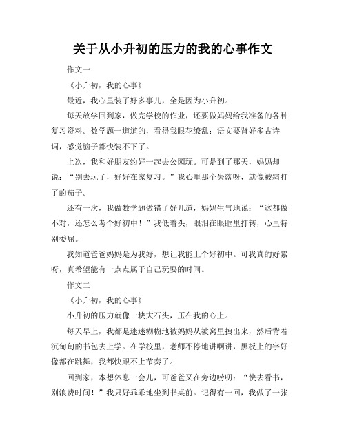 关于从小升初的压力的我的心事作文