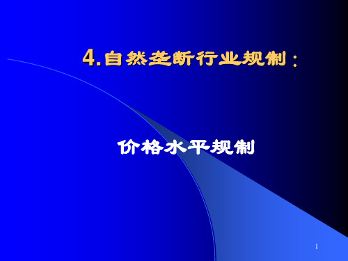 704自然垄断行业规制价格水平规制PPT课件