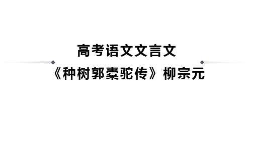 高考语文文言文《种树郭橐驼传》柳宗元