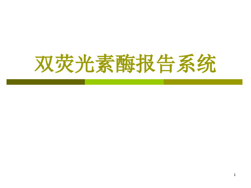 双荧光素酶系统实验操作步骤及方法ppt课件