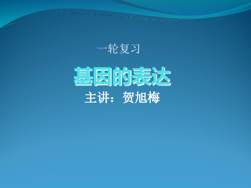 高考生物基因的表达PPT下载