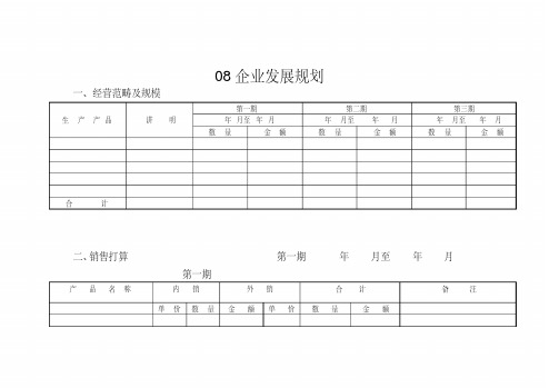 08企业发展规划