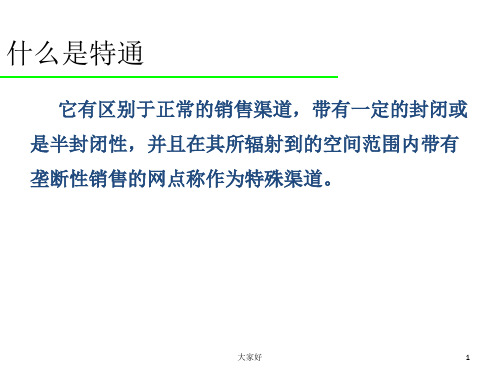 特通渠道开发方案 PPT